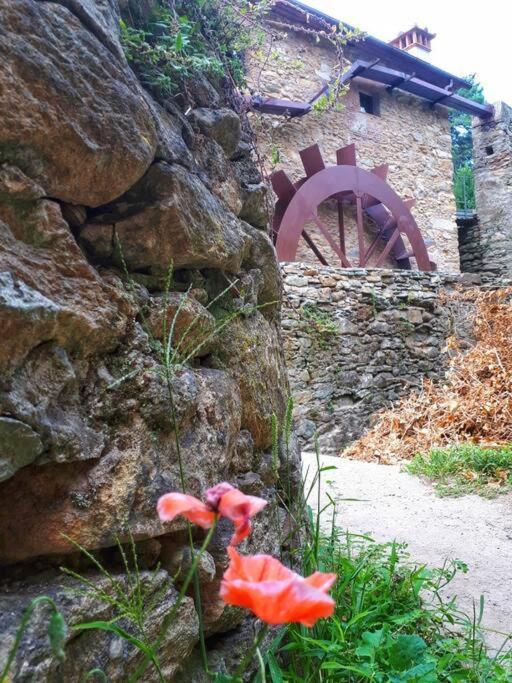 Uno Spazio Di Relax In Toscana Apartment Buti Exterior photo